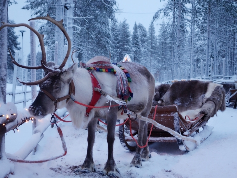 Winter Destinations for Snow Lovers | Getty Images photo by Choi Mong Lee/EyeEm