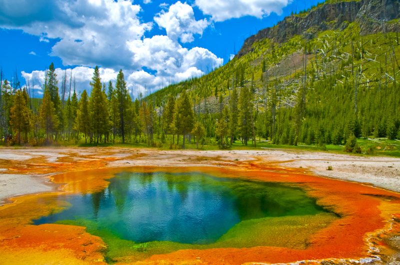 Yellowstone National Park Is a Boon for the Environment  | Kris Wiktor/Shutterstock