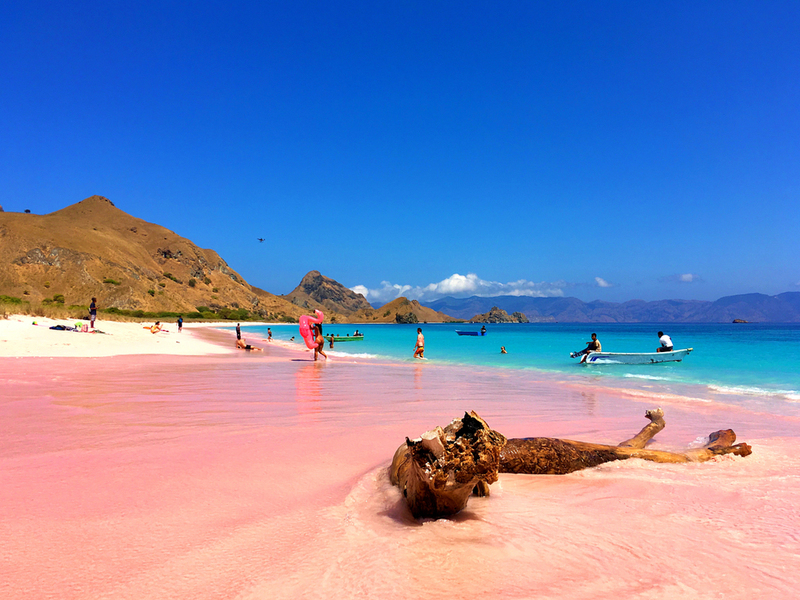 Pink Sand Beaches Are Love at First Sight | Prawat Thananithaporn/Shutterstock