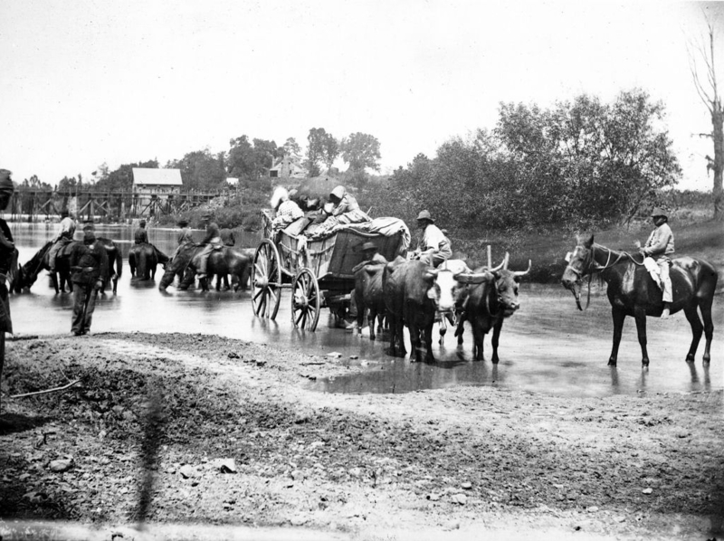 The Bullock Cart | Getty Images Photo by Photo12/Universal Images Group