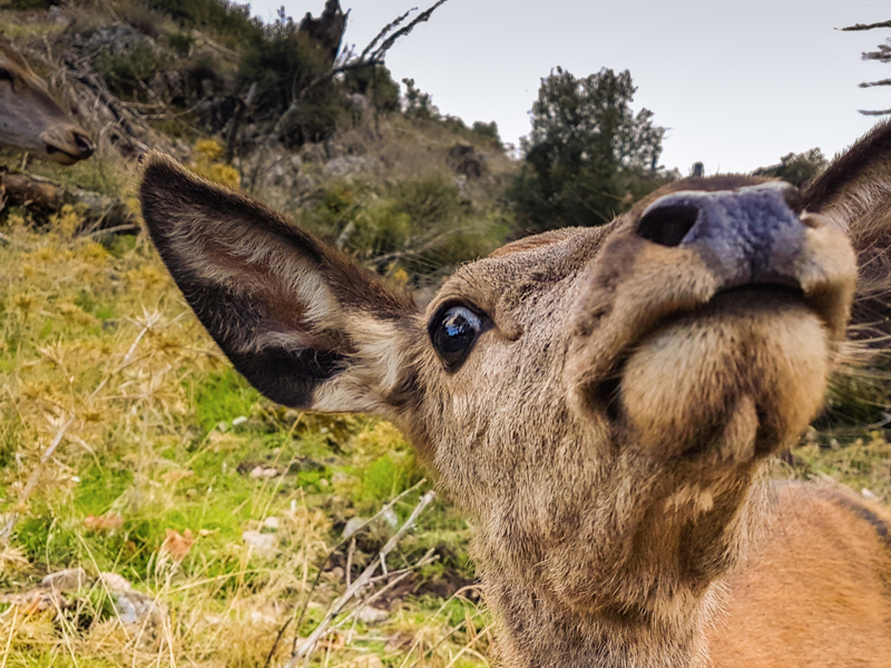 Tasting the Camera | Alamy Stock Photo by Bill Anastasiou