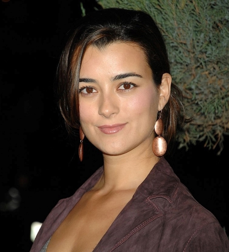 Cote de Pablo Then | Getty Images Photo by Jeff Kravitz/FilmMagic