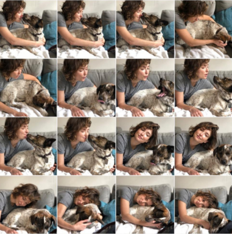 Dog Lover | Instagram/@mintmilana