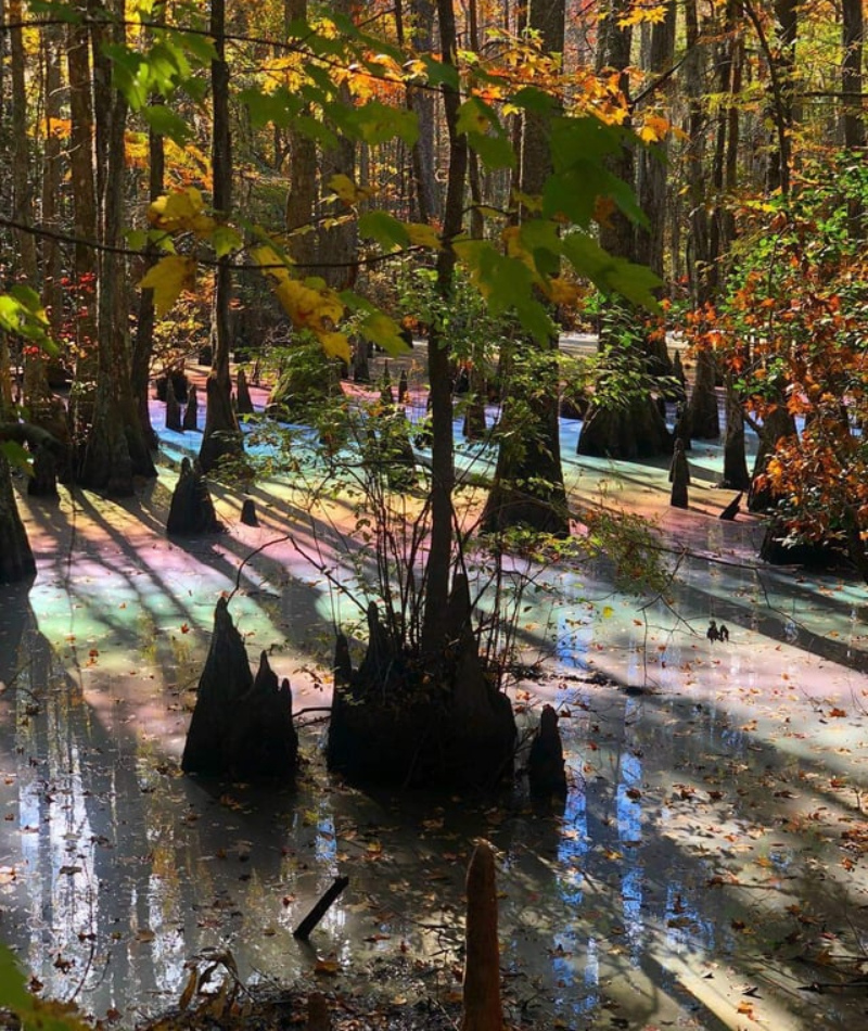 Rainbow Lake | Reddit.com/brentenross