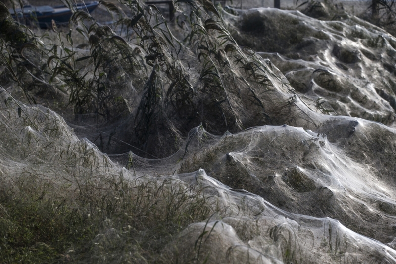 See you in your nightmares. | Getty Images Photo by Ayhan Mehmet/Anadolu Agency