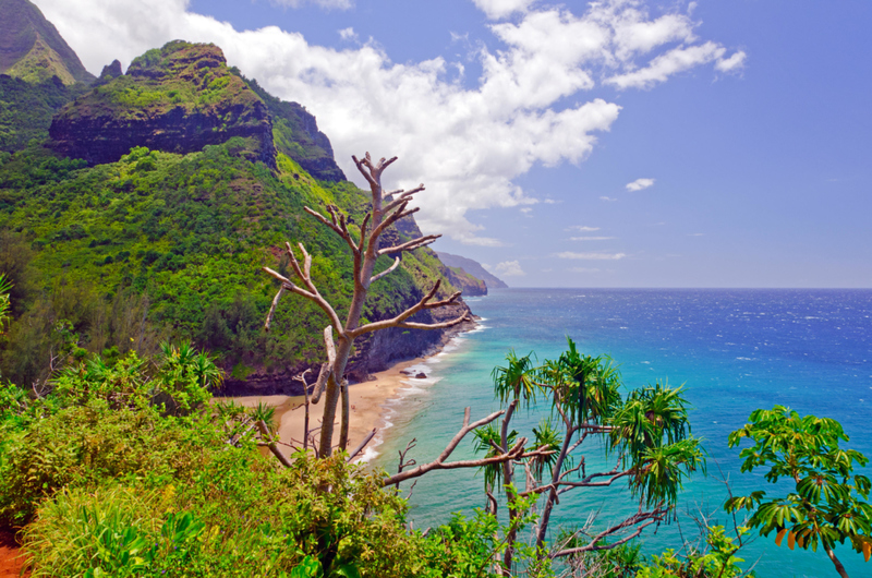 A Beach for Danger Lovers | Alamy Stock Photo by Steven Prorak