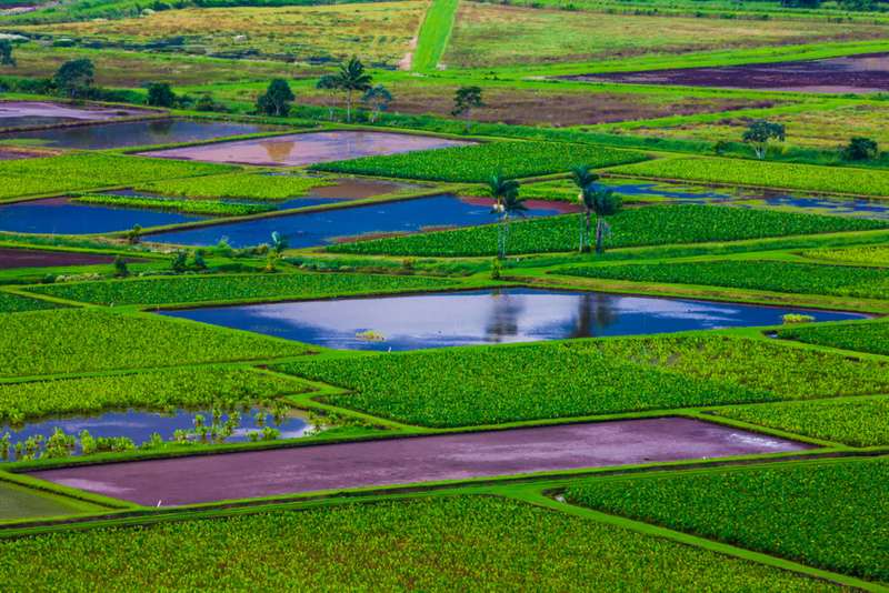 Hawaii’s Soil Is Worth More Than You Think | Alamy Stock Photo by imageBROKER.com GmbH & Co. KG/Karlheinz Irlmeier