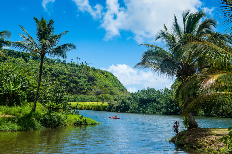 The Riveting Wailua River | Alamy Stock Photo by robertharding 