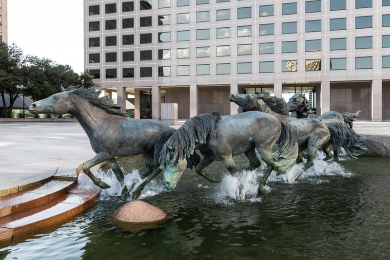 A Herd of Horses | Alamy Stock Photo